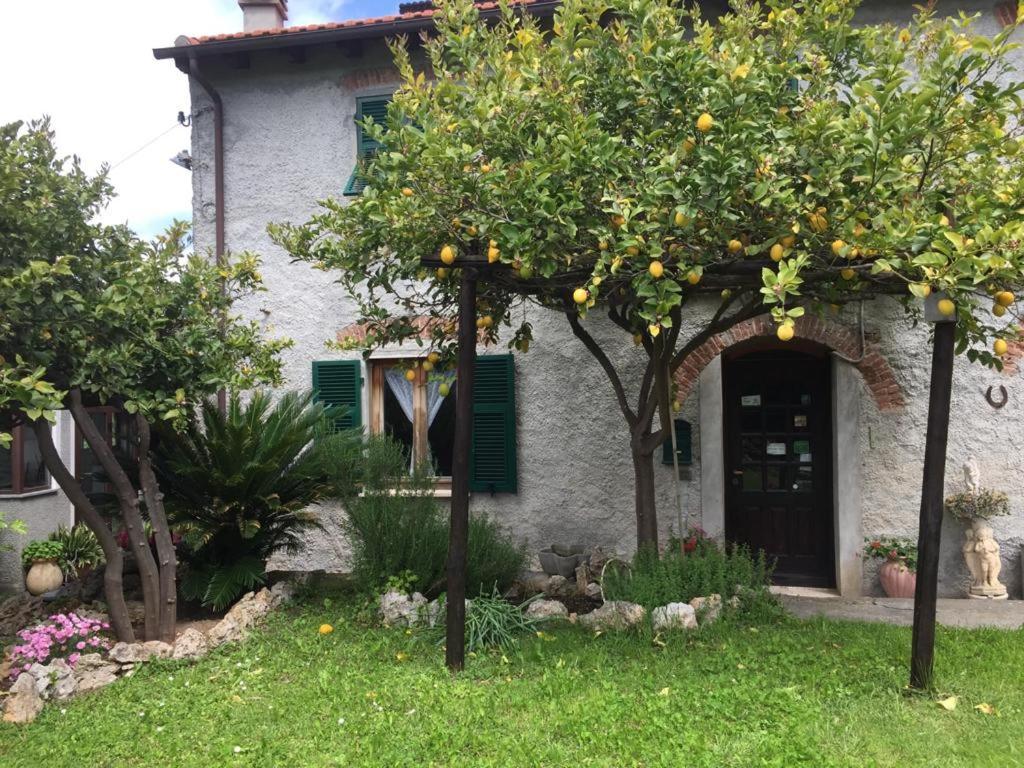 Agriturismo I Lamoi Finale Ligure Exterior foto